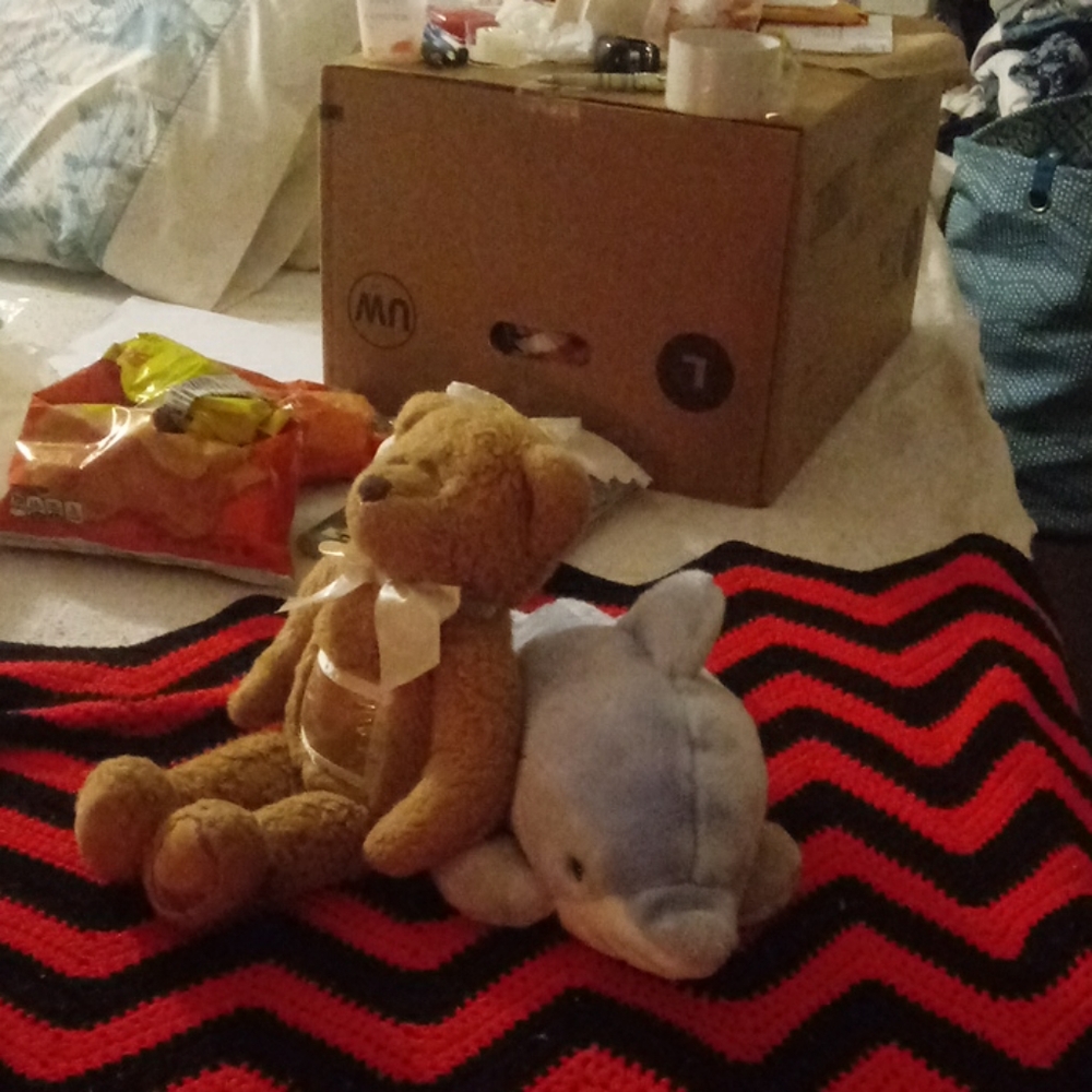 Stuffed animals a brown bear and dophin